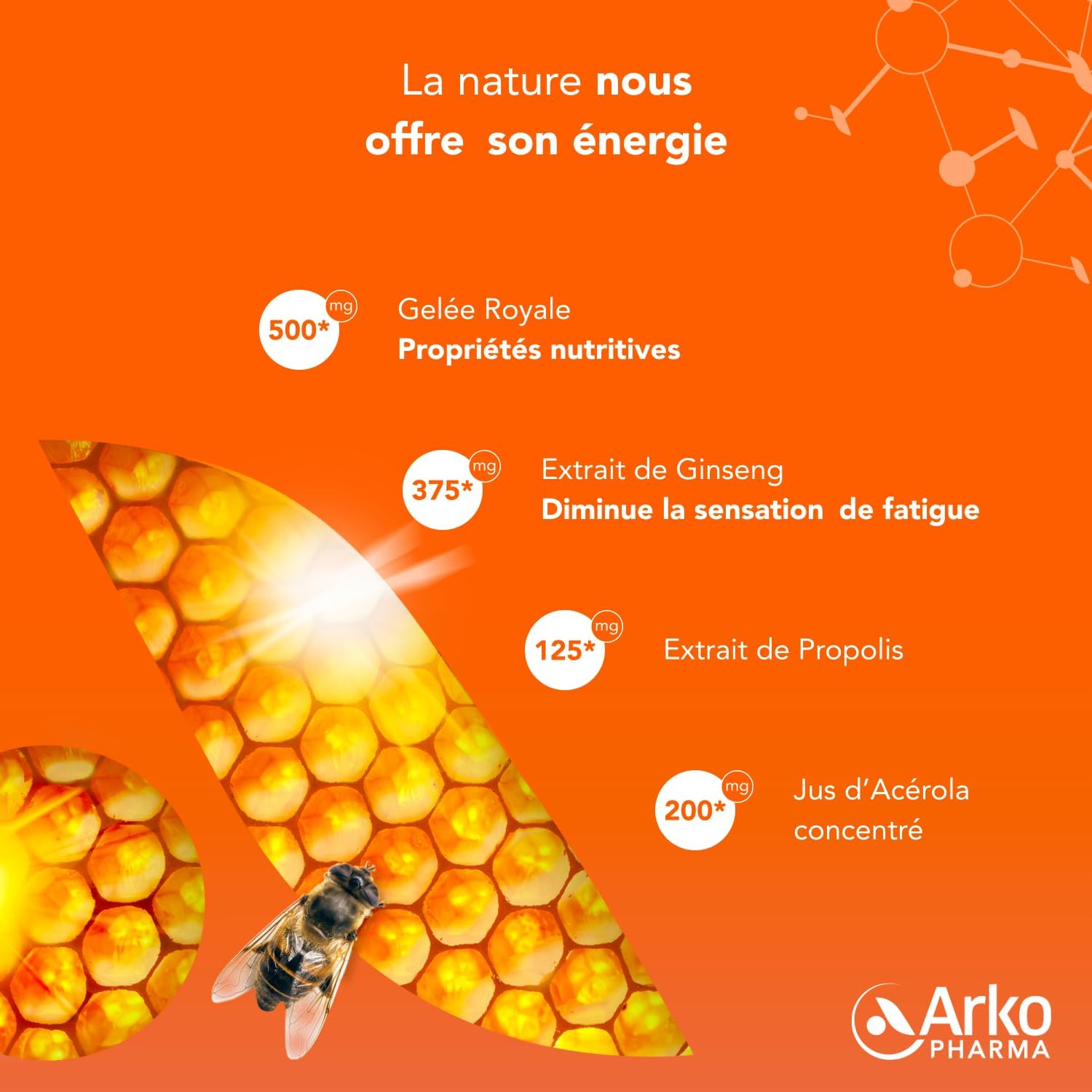 Arkopharma - Arkoroyal Organic Dynergie | Royal Jelly - Propolis - Food Supplement - Energy Booster - Immunity and Vitality - Ginseng - Acerola - Energizing and Stimulating | 20 Ampoules