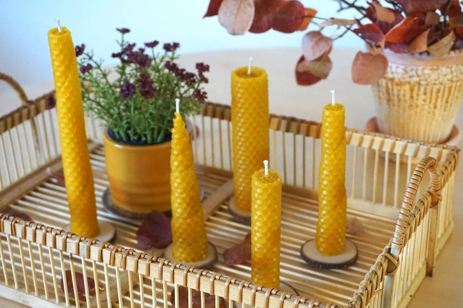 18 x 100% Pure Beeswax Plates (19.5 x 39.5 cm) 1.4 kg, Zander Centerwalls, Candle Making and DIY, 18 Natural Beeswax Plates