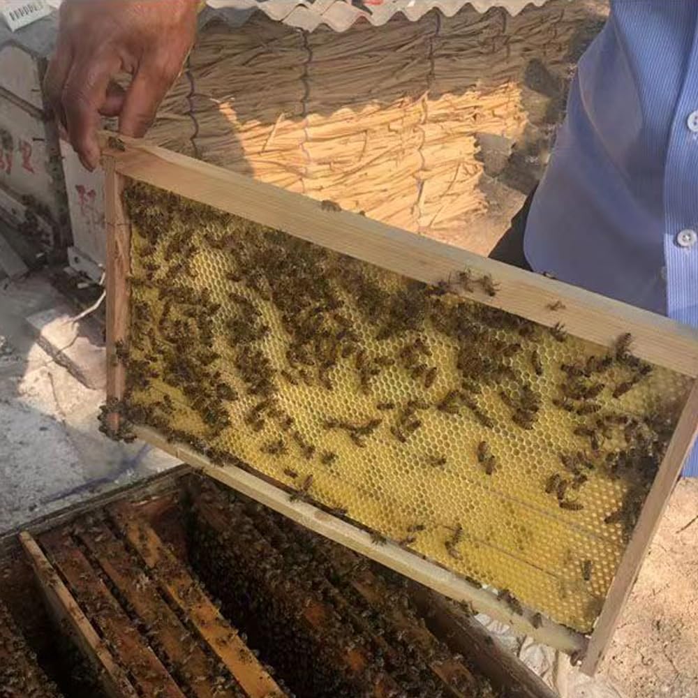 30 Sheets of 100% Pure Beeswax Sheets Natural Beeswax Plates for Candle Making and DIY