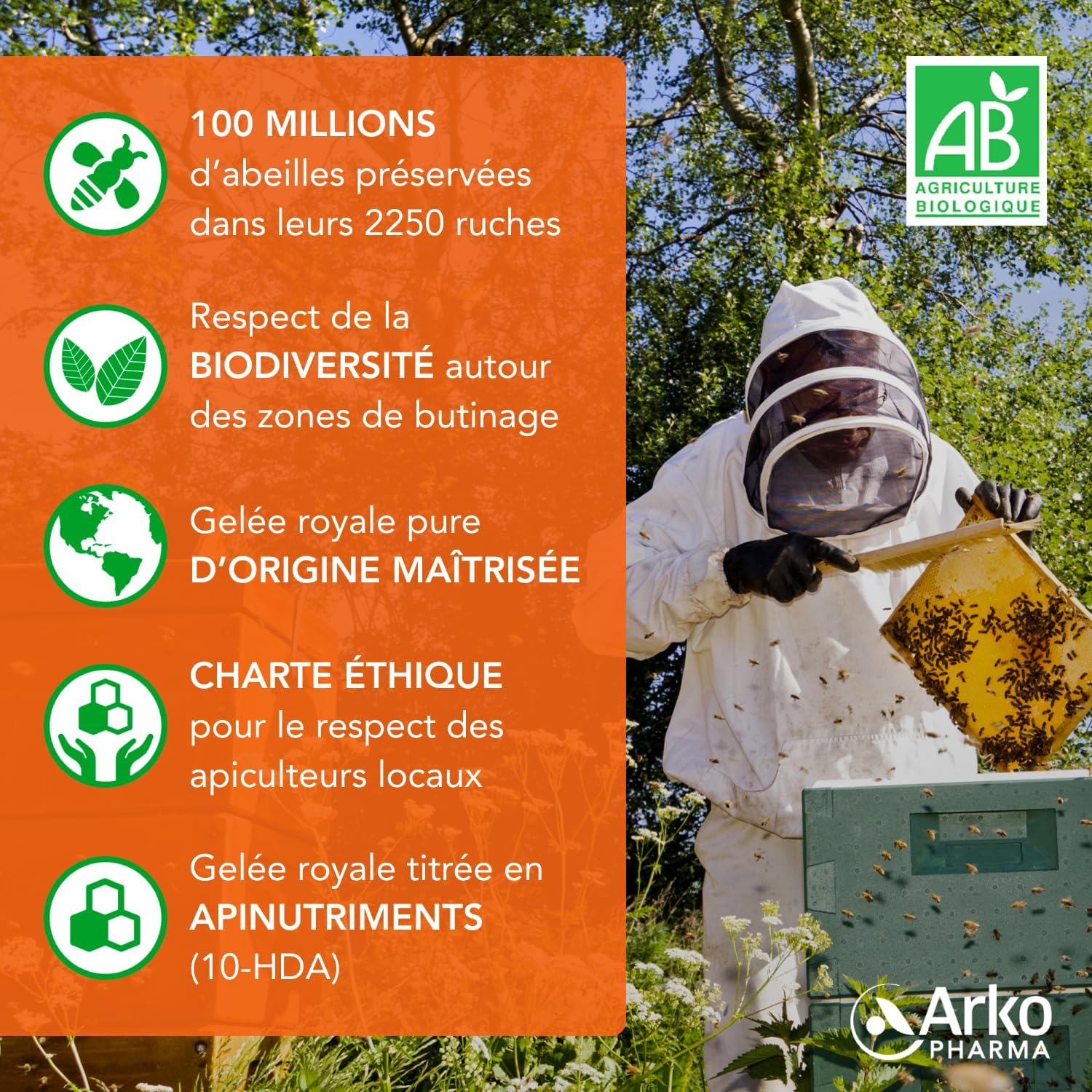 Arkopharma - Arkoroyal Organic Dynergie | Royal Jelly - Propolis - Food Supplement - Energy Booster - Immunity and Vitality - Ginseng - Acerola - Energizing and Stimulating | 20 Ampoules